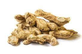 Ginger - Zingiber officinale